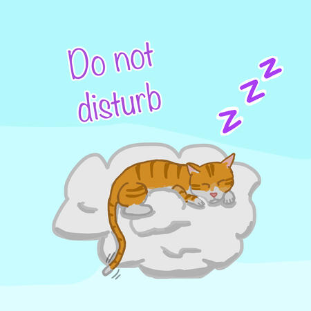 “Nimbus Napping” featuring Nimbus the nappy cat